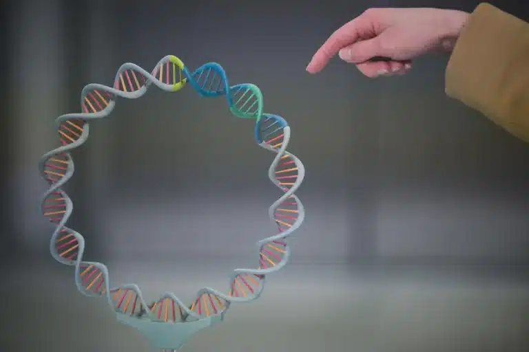 دگما جدید DNA و RNA