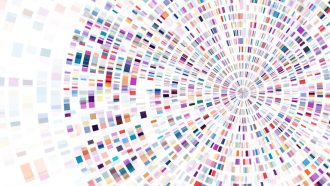 Dna test infographic. Genome sequence map.