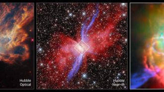 This image set showcases three views of the Butterfly Nebula, also called NGC 6302. The Butterfly Nebula, located about 3400 light-years away in the constellation Scorpius, is one of the best-studied planetary nebulae in our galaxy. Planetary nebulae are among the most beautiful and most elusive creatures in the cosmic zoo. These nebulae form when stars with masses between about 0.8 and 8 times the mass of the Sun shed most of their mass at the end of their lives. The planetary nebula phase is fleeting, lasting only about 20 000 years. The Butterfly Nebula is a bipolar nebula, meaning that it has two lobes that spread in opposite directions, forming the ‘wings’ of the butterfly. A dark band of dusty gas poses as the butterfly’s ‘body’. This band is actually a doughnut-shaped torus that’s being viewed from the side, hiding the nebula’s central star — the ancient core of a Sun-like star that energises the nebula and causes it to glow. The dusty doughnut may be responsible for the nebula’s insectoid shape by preventing gas from flowing outward from the star equally in all directions.  The first and second of the three images shown here highlight the bipolar nature of the Butterfly Nebula in optical and near-infrared light captured by the NASA/ESA Hubble Space Telescope. The new Webb image on the right zooms in on the centre of the Butterfly Nebula and its dusty torus, providing an unprecedented view of its complex structure. The Webb data are supplemented with data from the Atacama Large Millimetre/submillimetre Array, a powerful network of radio dishes.  While the nebula’s central star is blanketed with thick, dusty gas at optical wavelengths, Webb’s infrared capabilities reveal the central star and show the doughnut-shaped torus and interconnected bubbles of dusty gas that surround it. [Image description: Three views of the same nebula, presented side by side. The left and middle images, which are labeled ‘Hubble Optical’ and ‘Hubble Near IR’, show the nebula at roughly the same scale. These two images show some similar features, including a dark dust lane that runs through the centre of the nebula and two broad clouds that emerge from either side of the dust lane like the outstretched wings of a butterfly. A diamond-shaped region centred on the dust lane is outlined in each of these images. In the optical Hubble image, the nebula appears clumpy and nearly opaque, with few background stars showing through the cloudy material. The nebula appears in different shades of cream, yellow and orange, with the lightest colours appearing closest to the centre. The background of space is black with a handful of stars that are tinged pink. In the near-infrared Hubble image, the nebula appears cream coloured and most opaque near the centre, then becomes reddish with purple streaks and more translucent out toward the wings of the nebula. There are hundreds of background stars in the image, many of which are visible through the nebula. The third and final image zooms in on the diamond-shaped region near the centre of the other two images. This image is labeled ‘Webb & ALMA, Mid-IR & Sub-mm’. This image is completely different from the other two, showing a bright source at the centre that is surrounded by greenish nebulosity and several looping lines in cream, orange and pink. The upper-right and lower-left corners of this image show a purple streak pointing out of the image.]