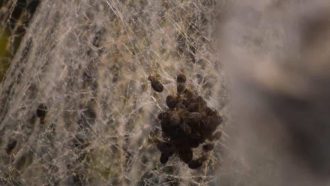 unnamed-file-157