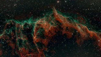 unnamed-file-171