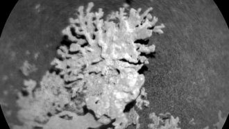 unnamed-file-354