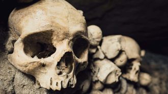 Stack of human skulls in the catacombs of Paris