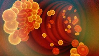 2T2JP6T Cholesterol in blood vessels. 3d illustration