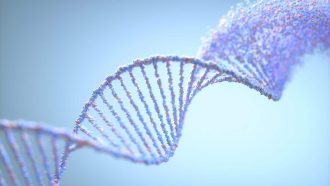 DNA damage, illustration.