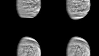 These are enhanced versions of four views of the planet Venus taken by NASA's Galileo's Solid State Imaging System at distances ranging from 1.4 to 2 million miles as the spacecraft receded from Venus.
