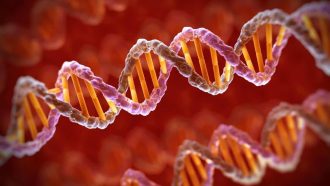 ETMPJ1 Stylized illustration of strands of human DNA, deoxyribonucleic acid.