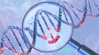 DNA double helix under a magnifying glass, symbolizing genetic engineering and gene manipulation. CRISPR technology, genome editing, molecular biotechnology, genetic science research, gene therapy. 3D