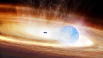 A study led by the Center for Astrophysics | Harvard & Smithsonian (CfA) has captured the explosive interaction between a black hole and a massive nearby star (blue), as depicted in this artist's conception. As the separation between the star and the black hole decreased, the black hole's intense gravity pulled gas and dust off of the star into a disk. Before the star was able to swallow the black hole, gravitational stress from the black hole triggered the star's explosion. Collisions between the stellar explosion and shells of material from earlier interactions located above and below the disk, powered a dramatic re-brightening event. Credit: Melissa Weiss/CfA
