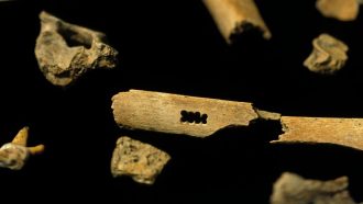GERMANY - MARCH 20:  Presentation Of Newly-Discovered Neanderthal Man Fossilized Bones - On March 20th, 1999 - In Mettmann, Germany  (Photo by Patrick AVENTURIER/Gamma-Rapho via Getty Images)
