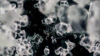 unnamed-file-712