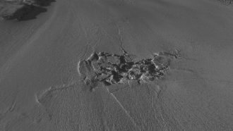 unnamed-file-92