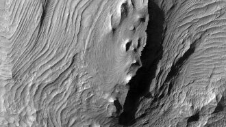 unnamed-file-923