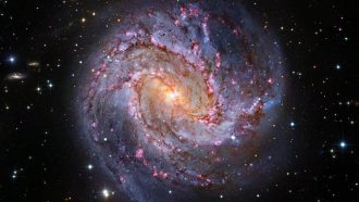 unnamed-file-977
